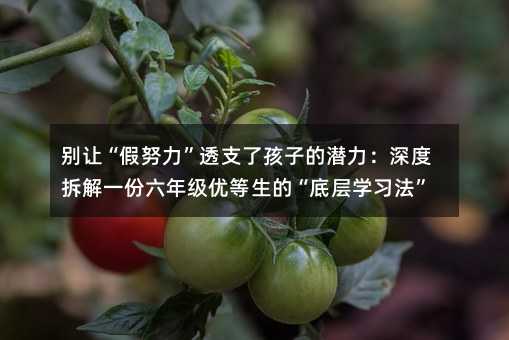 �e׌����Ŭ����͸֧�˺��ӵĝ�������Ȳ��һ�����꼉(j��)��(y��u)�����ġ��׌ӌW(xu��)��(x��)����