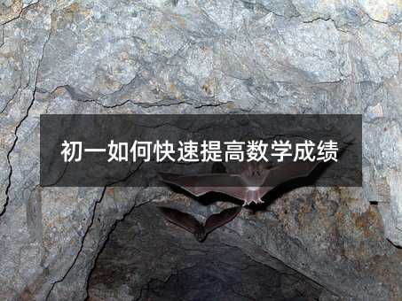 ��һ��ο�����ߔ��W�ɿ�