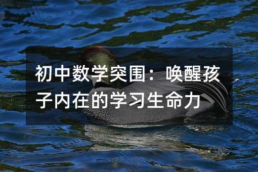 ���Д��Wͻ�������Ѻ��Ӄ��ڵČW��������