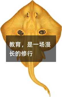 ��������һ�����L������