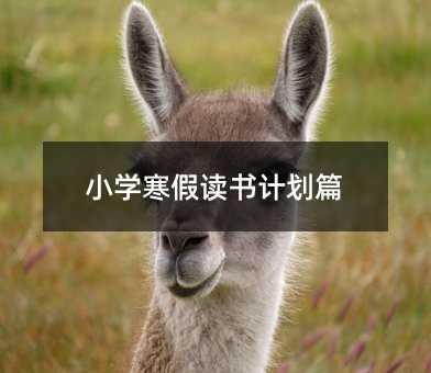 小學(xué)寒假讀書(shū)計(jì)劃篇