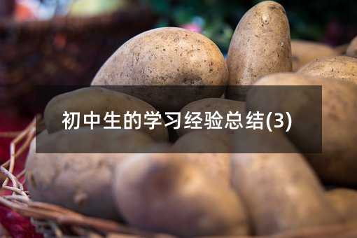 初中生的學(xué)習(xí)經(jīng)驗(yàn)總結(jié)(3)