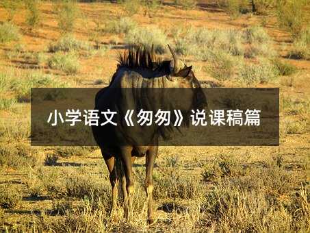 С�W�Z�ġ��Ҵҡ��f�n��ƪ