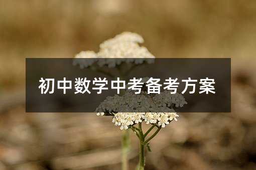 初中數學中考備考方案
