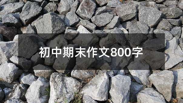 初中期末作文800字