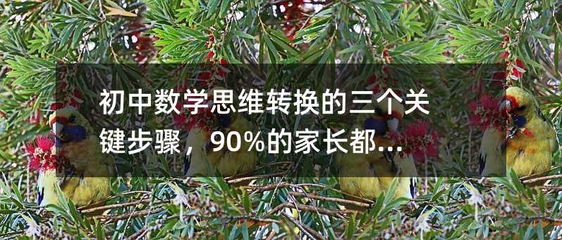 初中數學思維轉換的三個關鍵步驟,90%的家長都忽略了