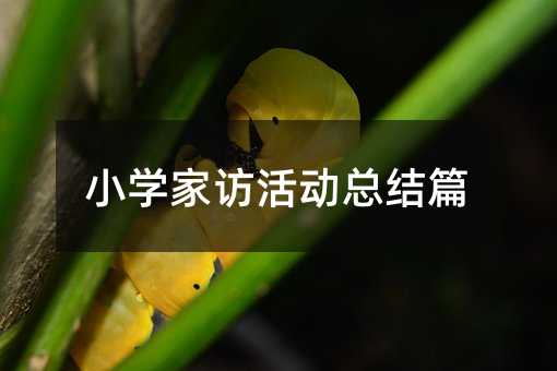 小學家訪活動總結篇