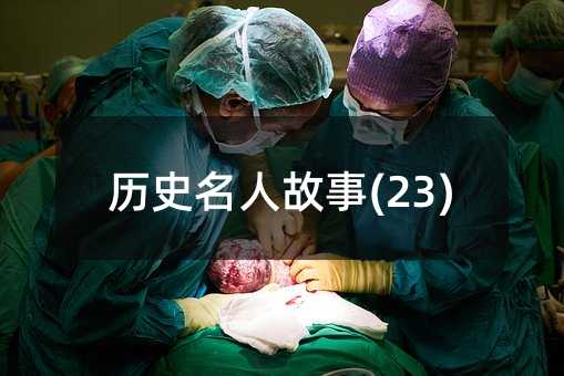 �vʷ���˹���(23)