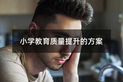 小學教育質量提升的方案