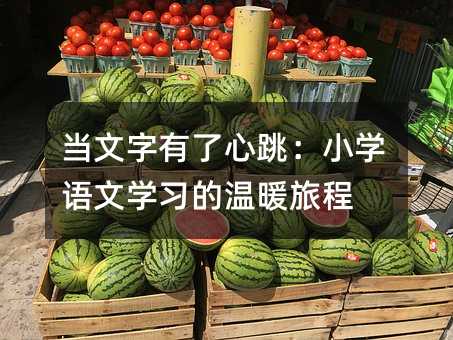 ����������������С�W�Z�ČW���Ĝ�ů�ó�