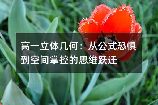 高一立體幾何:從公式恐懼到空間掌控的思維躍遷