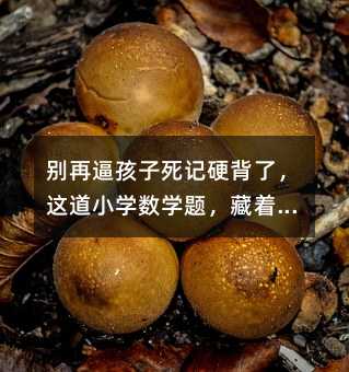 �e�ٱƺ�����ӛӲ�������@��С�W���W�}����������һ����피�˼�S