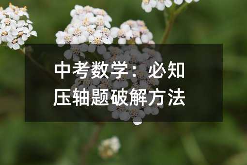 中考數學:必知壓軸題破解方法