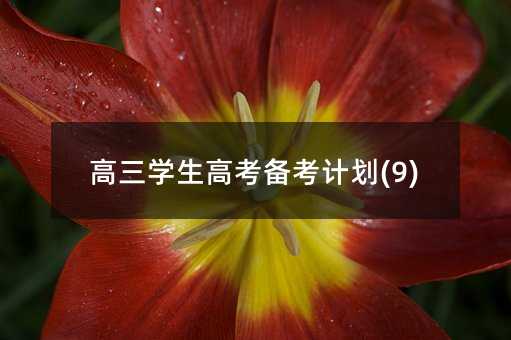 高三學(xué)生高考備考計(jì)劃(9)