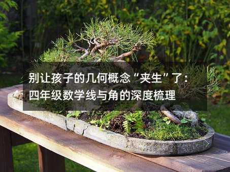 別讓孩子的幾何概念“夾生”了:四年級數(shù)學(xué)線與角的深度梳理