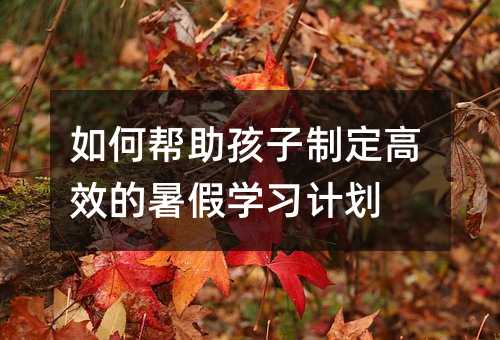 如何幫助孩子制定高效的暑假學習計劃