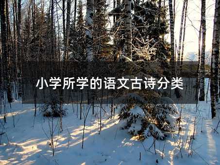 С�W(xu��)���W(xu��)���Z�Ĺ�Ԋ���