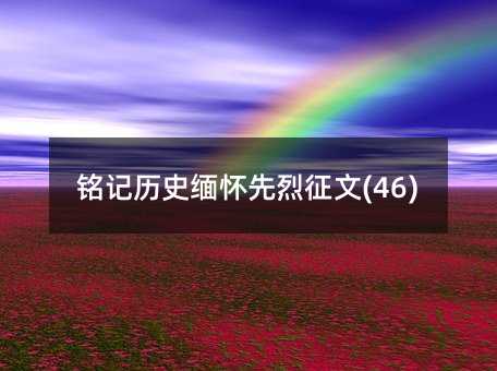 �ӛ�vʷ������������(46)