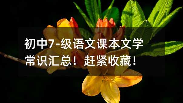 ����7-���Z���n���ČW���R�R�����s�o�ղأ�