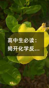 高中生必讀:揭開化學反應能量變化的神秘面紗