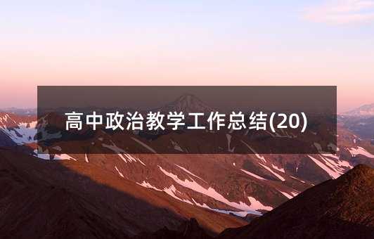 高中政治教學工作總結(20)