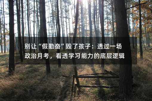 別讓“假勤奮”毀了孩子:透過一場政治月考,看透學習能力的底層邏輯