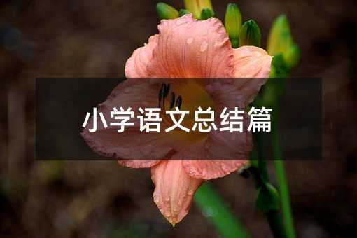 С�W�Z�Ŀ��Yƪ