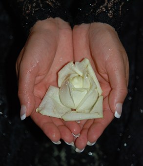 ڵĺӣΑ(yng)w(wn)