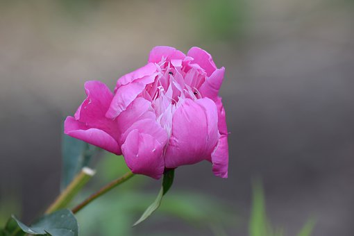 孩子高二不想學(xué)怎么辦