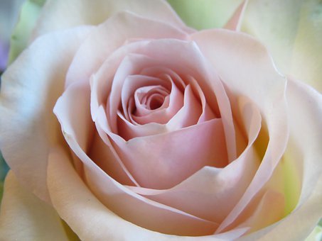 ������������ؓ����ĸԓ��ô����