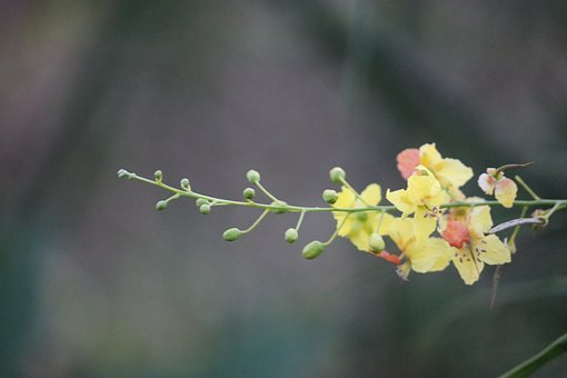 復盤的藝術:從一份“完美”的自我評價談起