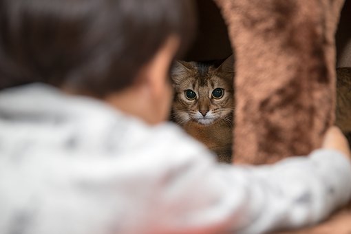 2. 培養孩子的耐心和毅力
