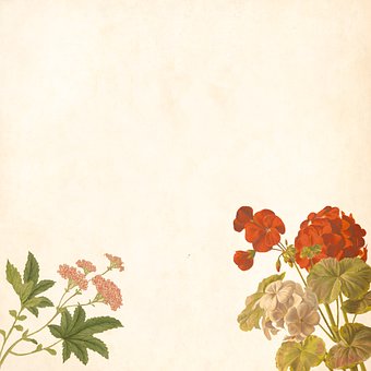 正確的鼓勵方法:反饋好的和已經成功的