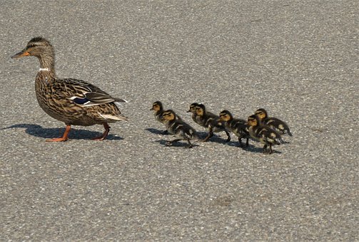 告別死記硬背,一張表讓小學數學公式清晰可見