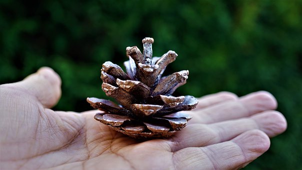 O(sh)ô܇Ĕ(sh)xvС܇Ĕ(sh)...