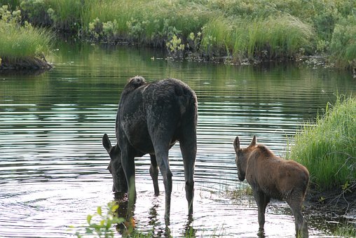 各個(gè)班級(jí)針對(duì)本班級(jí)情況作詳細(xì)的分析,確定...