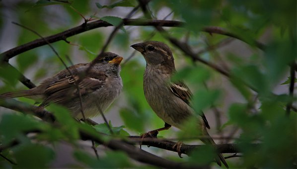 基礎知識方面的復習以單元為單位進行,在單...