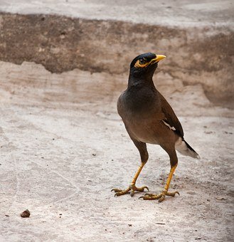 (二)位于文章的中間