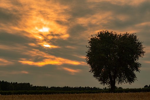 �a����(�T��) tin sweat