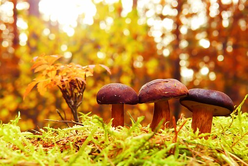 七、孩子對某些事物懷有濃厚興趣的時(shí)候
