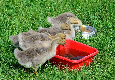 30Һw^Vе(1)AVҺr...