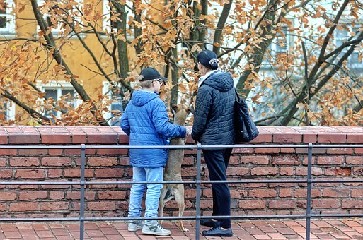 有了適合孩子的圖書,接下來就是家長怎么和...