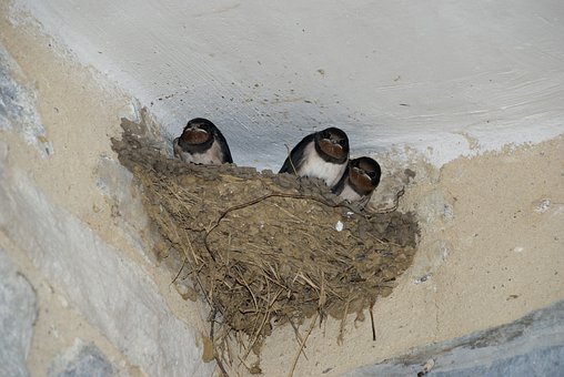 ����Ӣ�Z�����ˣ����˽��]�҂�߀����ʲô���@���Ǽ��L��ԓ�е��ˑB