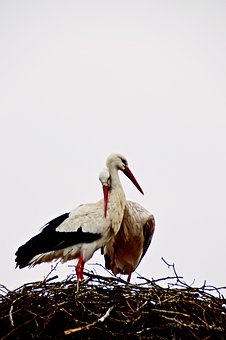 �ġ����w�׺��\�㣺���g�����c�������Y(ji��)��