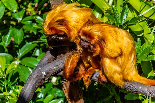 һλ�ώ�ᘌ�b�ӴεČW���ȴ�û��A���m��...