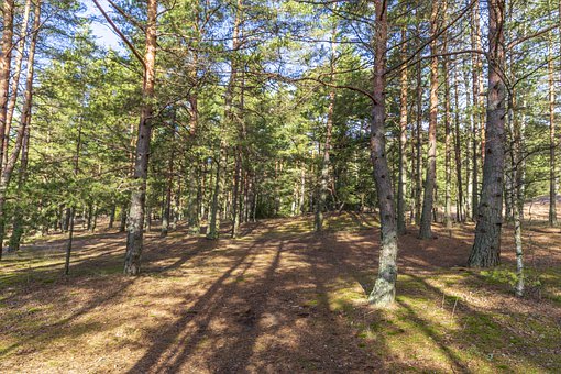 2.KԊġMLꡱD롰^ƽ...