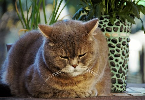 �������������ǂ���٣������п����u��ȫ������