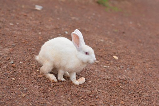 ��̎��ɽM���n���x������n���ڰ��г����...