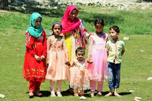 2 沒有適當(dāng)?shù)脑缙谧x物