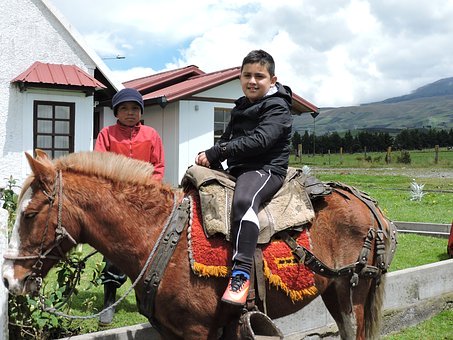 7�ɴ�С�yԇ��